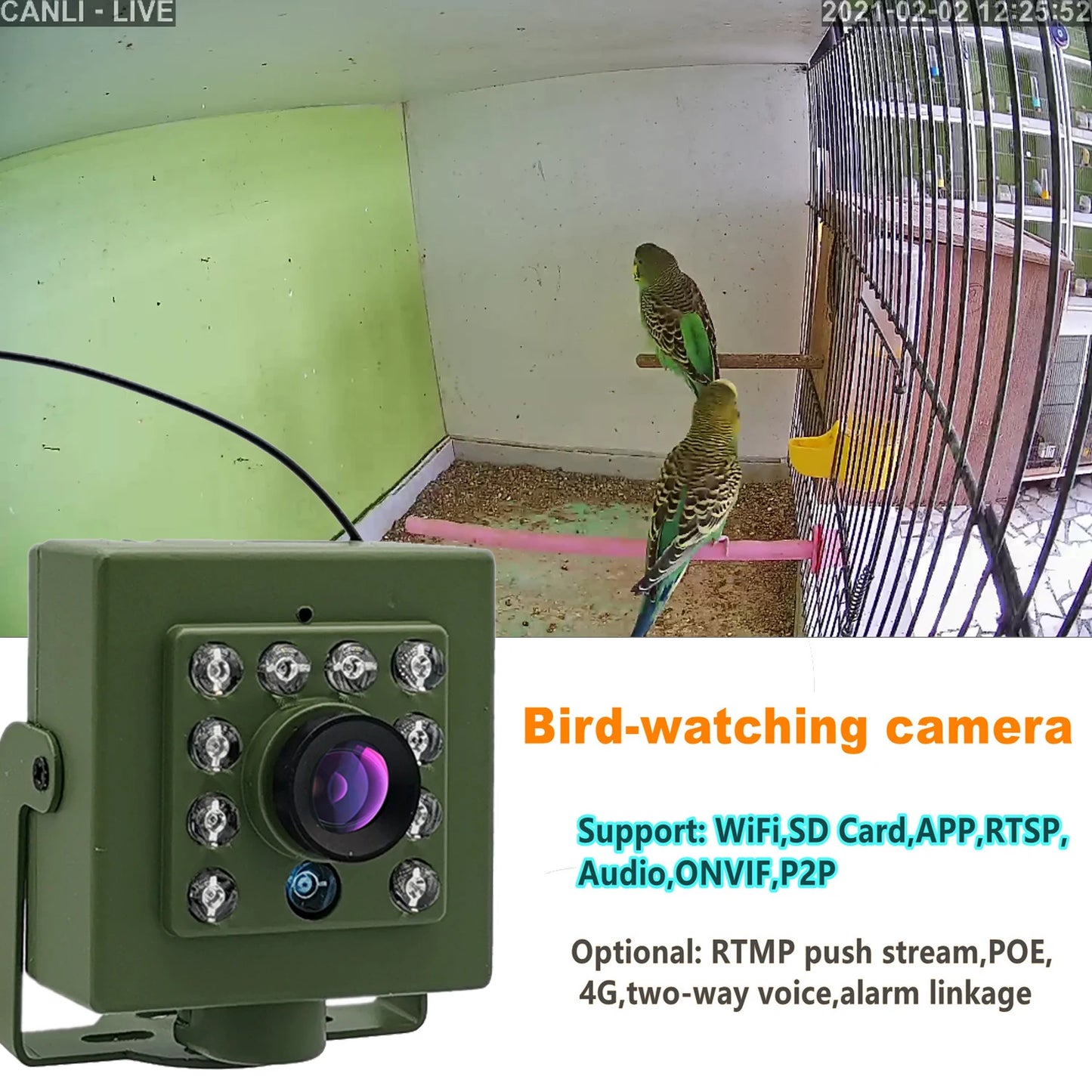 Observez vos oiseaux en direct ! Caméra WiFi 5 MP Nest-oo ViewCam™, vision nocturne, détection de mouvement et micro intégré. Installation facile sur tout nichoir.