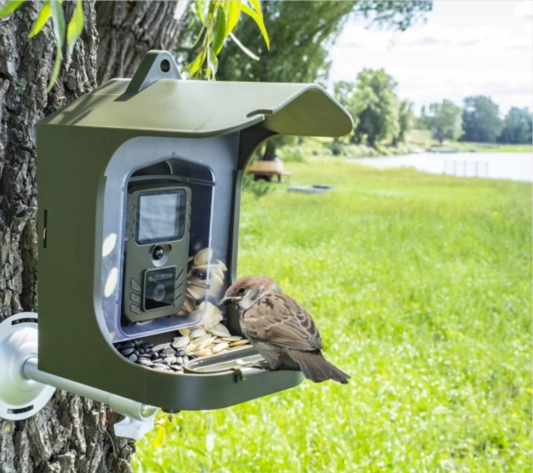 Observez les oiseaux de votre jardin avec la mangeoire connectée Nest-oo NatureCam. Caméra HD, vision nocturne, détection PIR et bac à graines amovible.