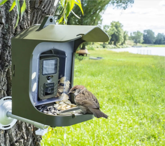 Observez les oiseaux de votre jardin avec la mangeoire connectée Nest-oo NatureCam. Caméra HD, vision nocturne, détection PIR et bac à graines amovible.