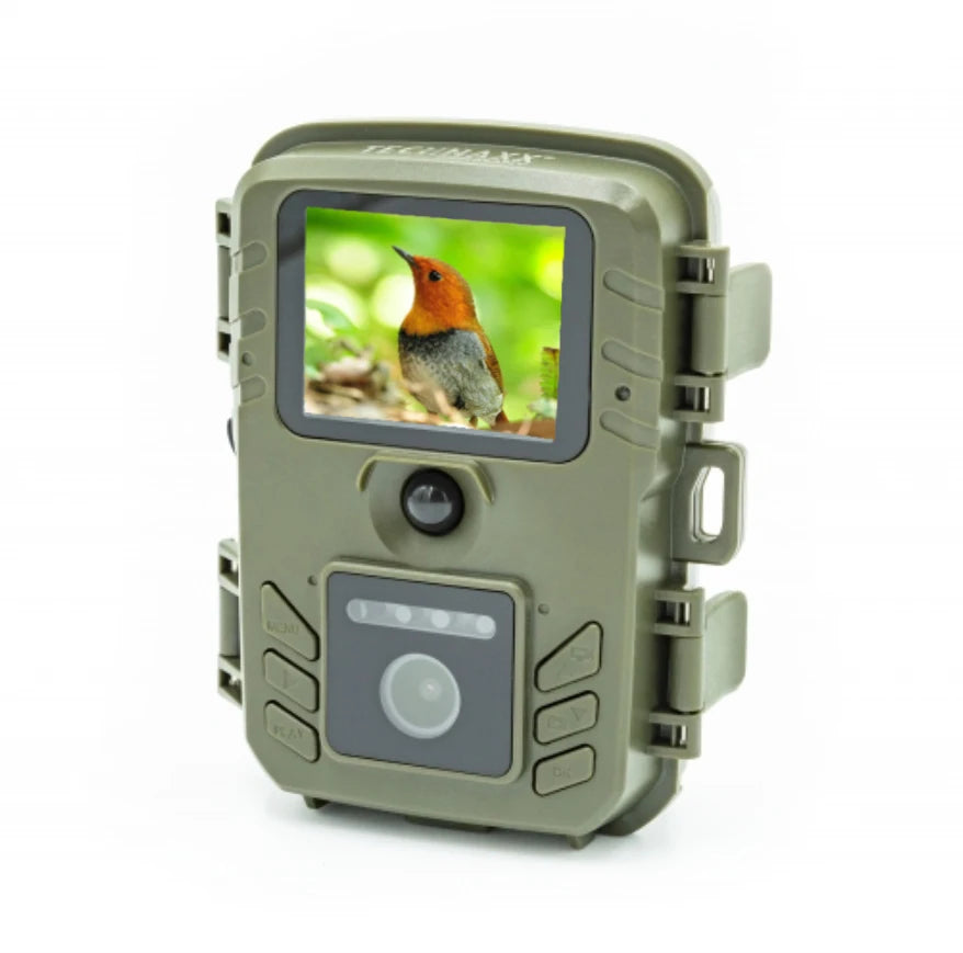 Observez les oiseaux de votre jardin avec la mangeoire connectée Nest-oo NatureCam. Caméra HD, vision nocturne, détection PIR et bac à graines amovible.