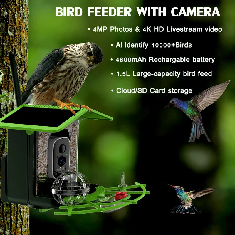 Découvrez SolarView™, la mangeoire connectée solaire de Nest-oo. Vision 2K HD, WiFi 5G, batterie longue durée et observation continue des oiseaux. IP66 et éco-conçue.