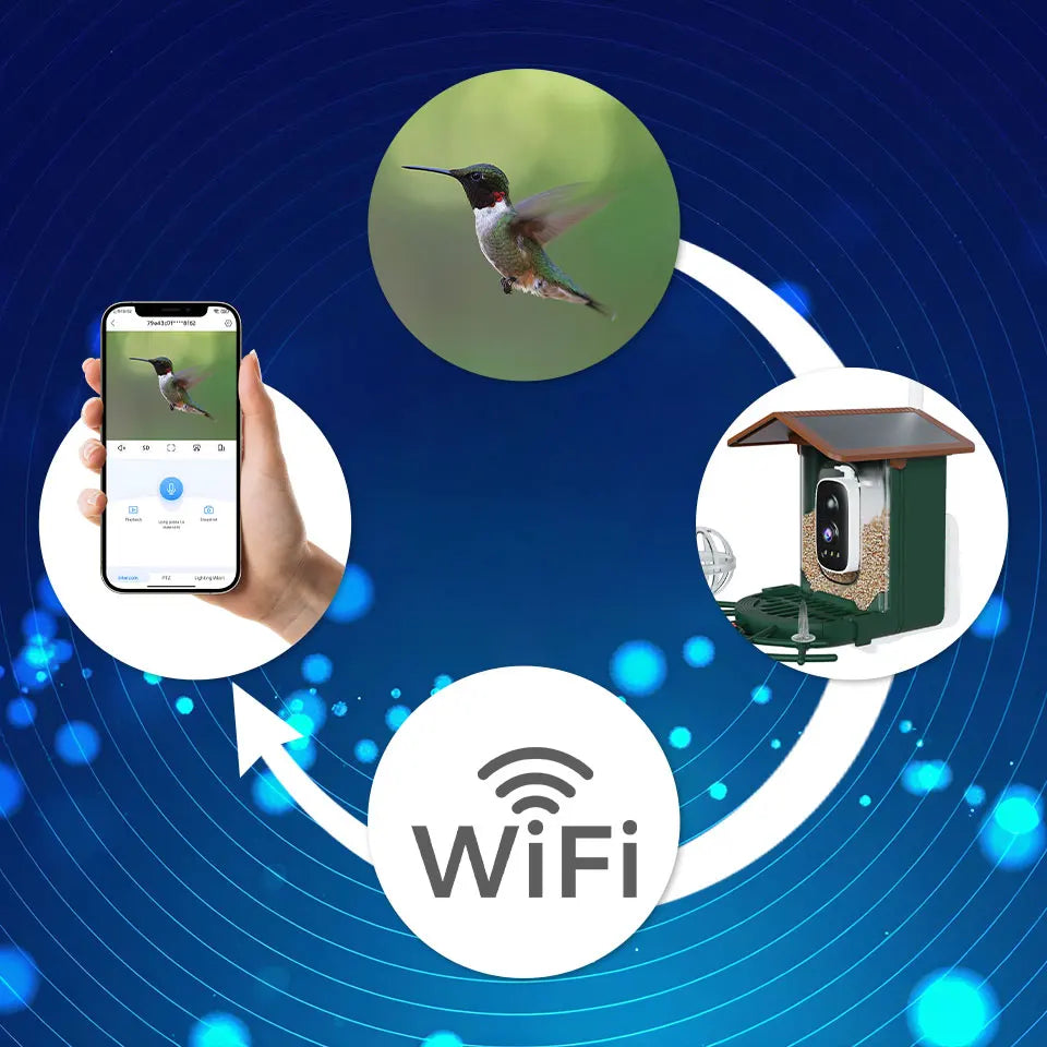 Observez les oiseaux de votre jardin en haute définition avec le nichoir connecté Nest-oo. Vision nocturne, WiFi, détection PIR et audio bidirectionnel pour une observation naturelle.