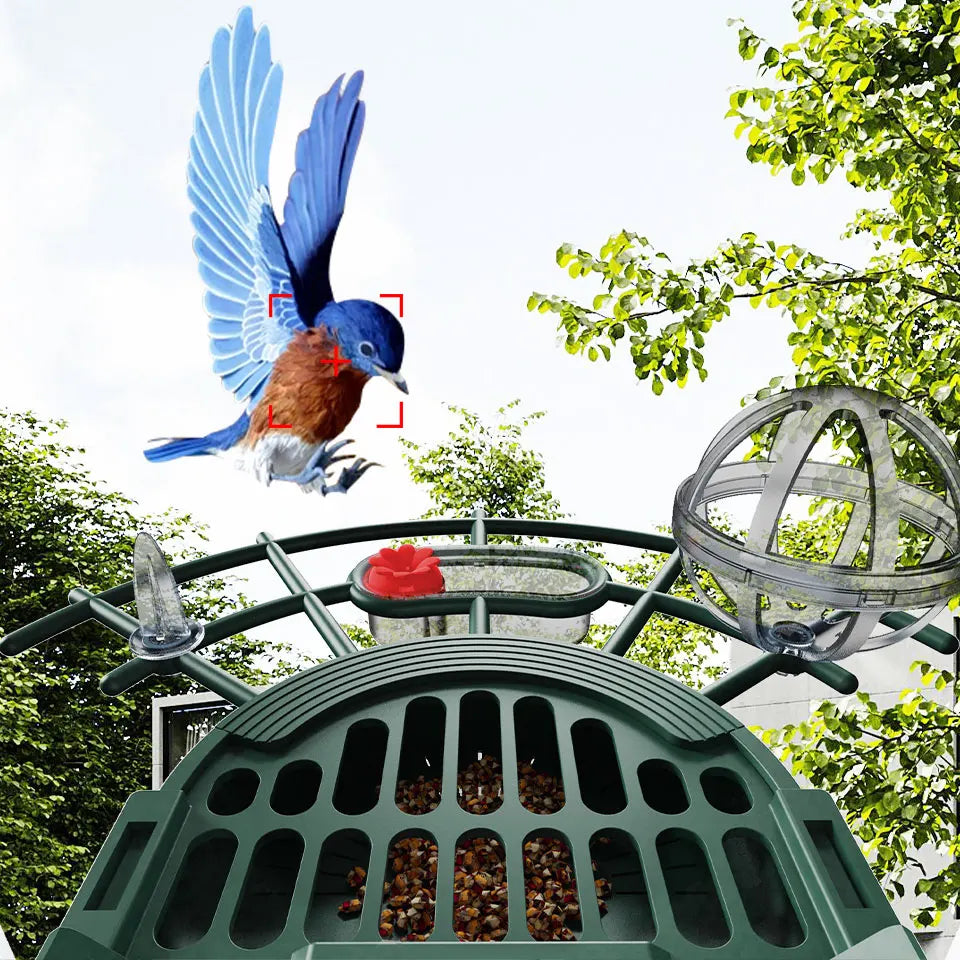 Observez les oiseaux de votre jardin en haute définition avec le nichoir connecté Nest-oo. Vision nocturne, WiFi, détection PIR et audio bidirectionnel pour une observation naturelle.