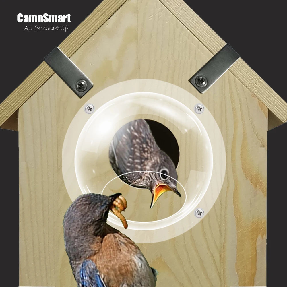 Nichoir Connecté 4 MP Tuya WiFi – Observation Intérieure, Vision Nocturne & Son Haute Définition | Nest-oo InsightBox™