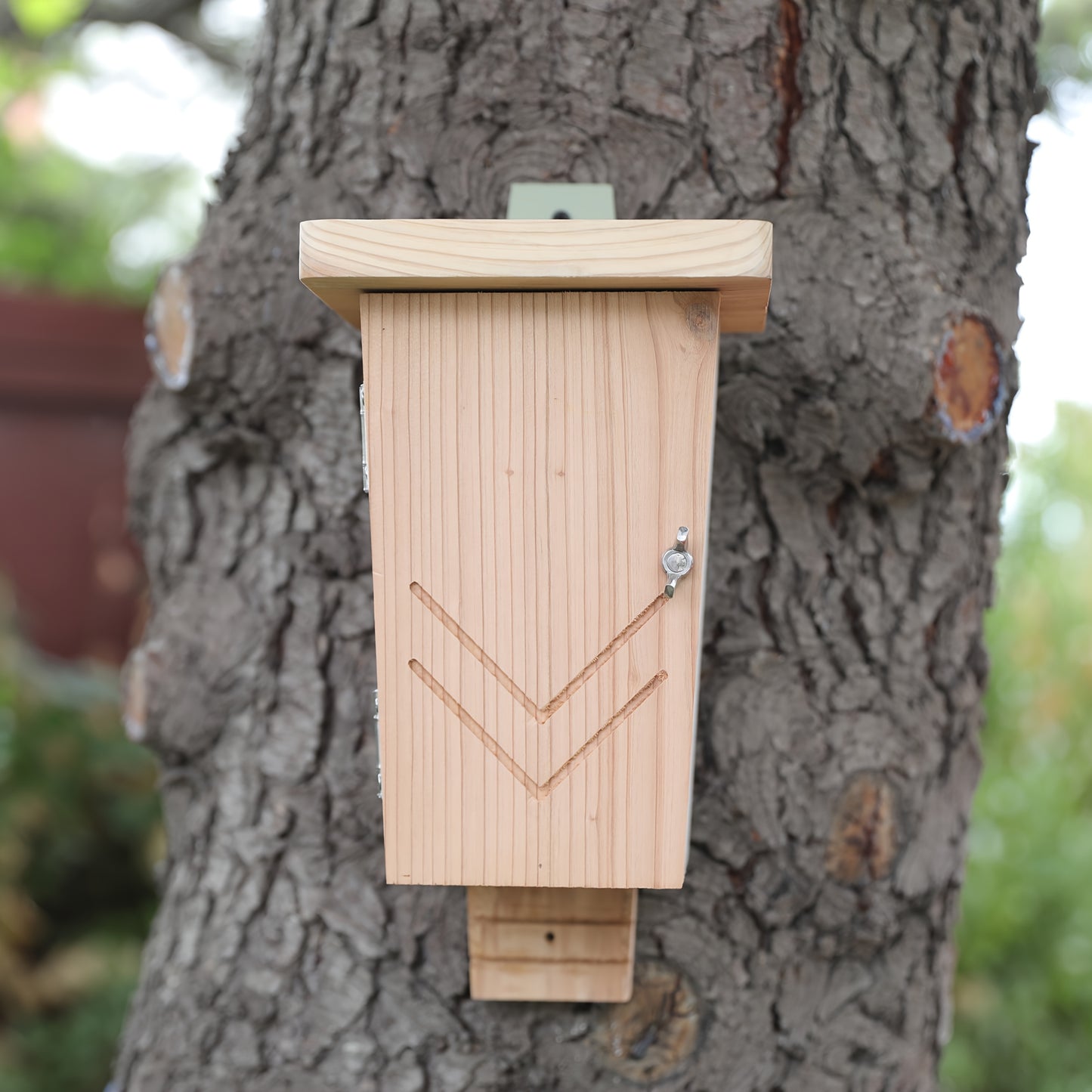 Refuge à chauves-souris en bois3