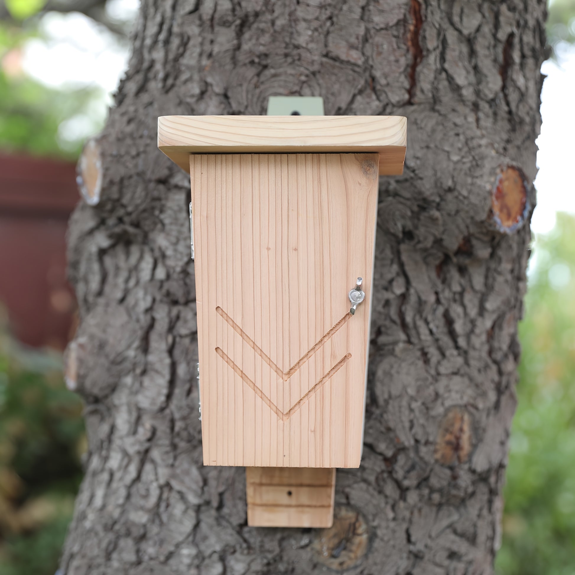 Refuge à chauves-souris en bois3